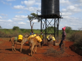 Community members fetching water from Matokini Community borehole